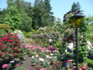 carousel_thumb