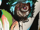 carousel_thumb