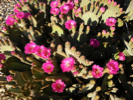 carousel_thumb